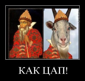 Create meme: goat, Katsap