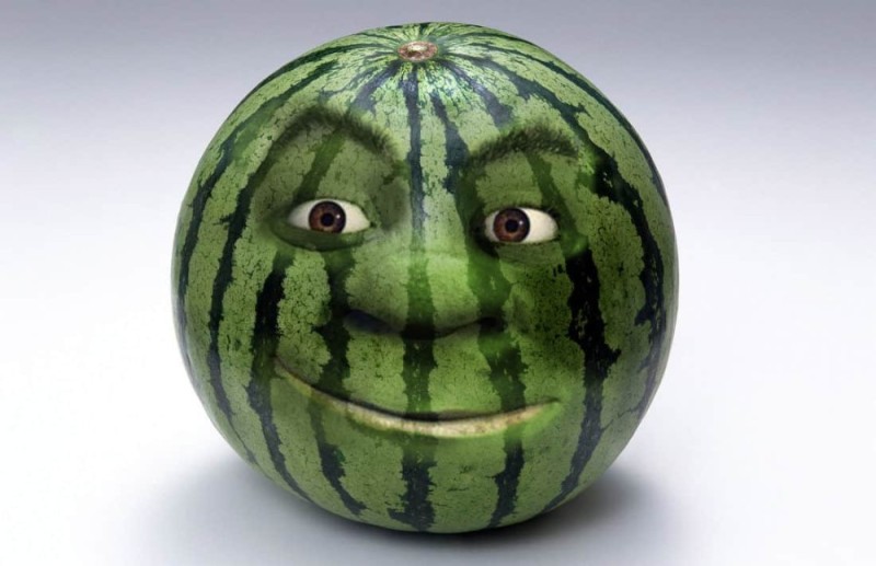 Create meme: watermelon is funny, a watermelon with eyes, live watermelon