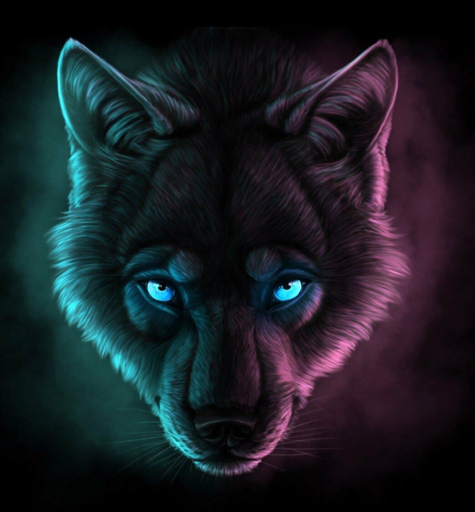 750 Anime Wolves ideas  anime wolf wolf art fantasy wolf