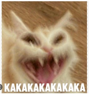 Create meme: cat, the cat is evil, funny animal faces