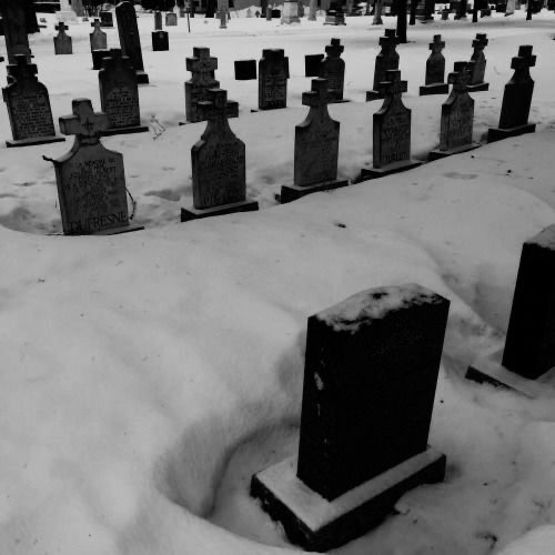 Create meme: cemetery , cemetery in winter, photos of the cemetery