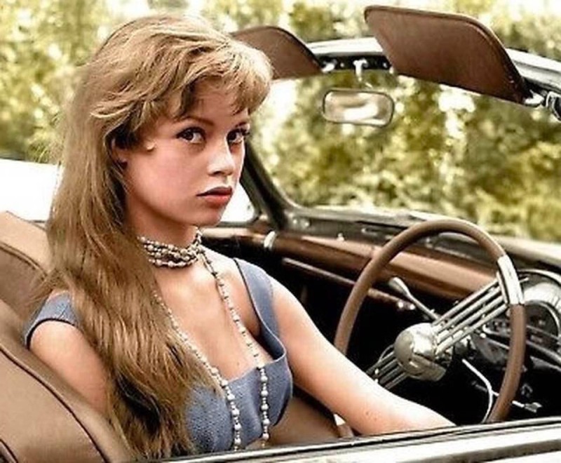 Create meme: Brigitte Bardot, Brigitte Anne-Marie Bardot, Brigitte Bardot in her youth