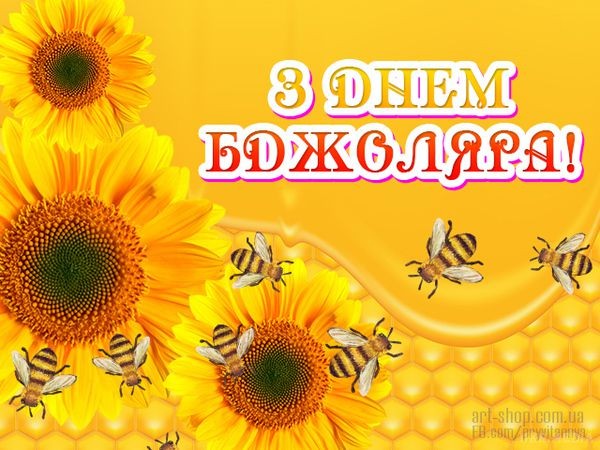 Создать мем: фон пчелы, цветок подсолнуха, мед подсолнух