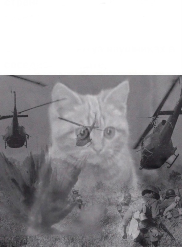 Create meme: flashbacks Vietnam, flashback Vietnam, cat flashbacks