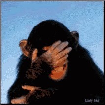 Create meme: monkey facepalm, monkey, monkey rukalitso