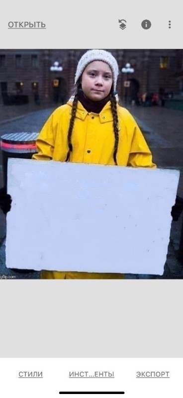 Create meme: Gretta Thunberg with a poster, greta thunberg meme, she turnberg meme