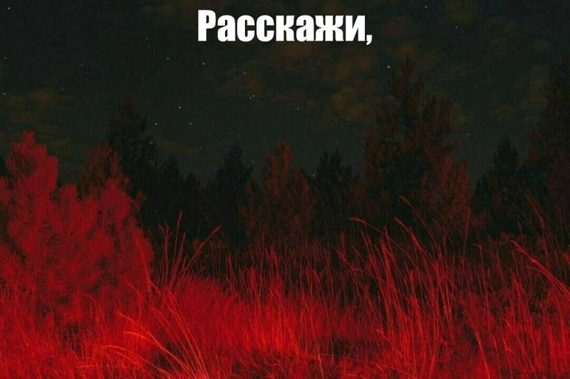 Create meme: Aesthetics are red, night forest , night