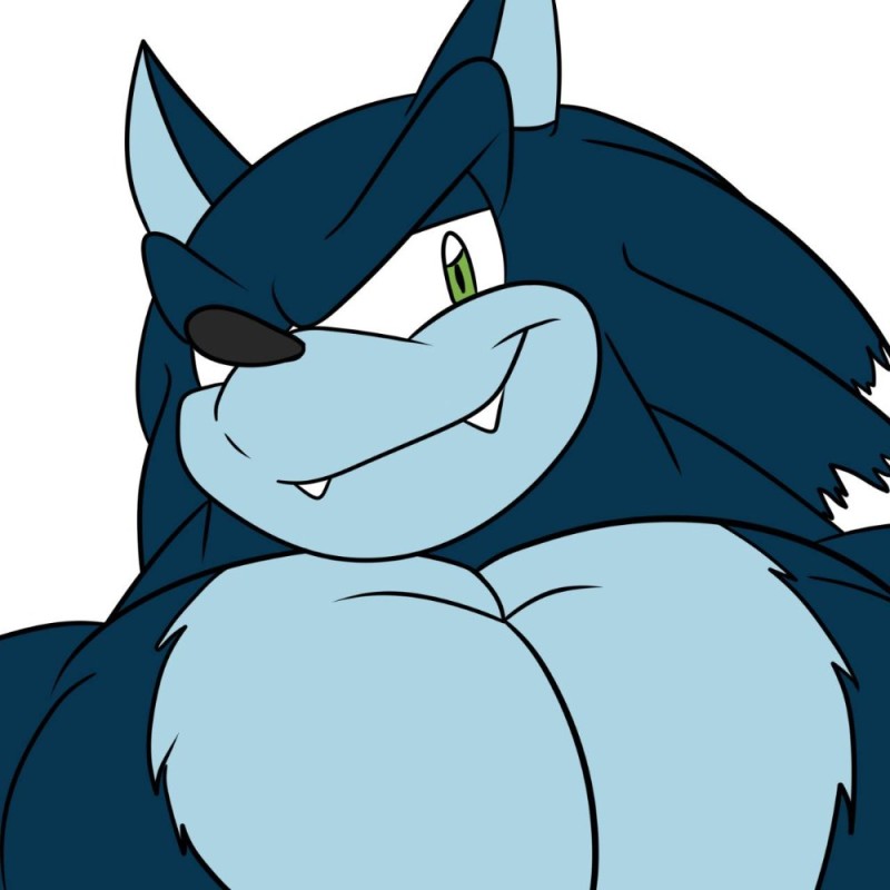 Create meme: sonic the werehog, werehog, sonic werehog