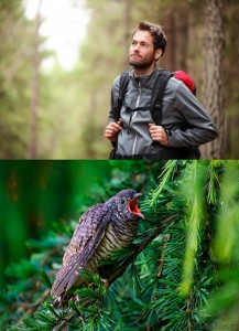 Создать мем: фото человека с бородой в лесу, соколиная охота, кукушка кричит картинки