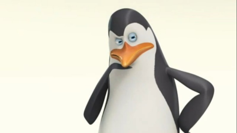 Create meme: the penguins of Madagascar Kowalski, Rico the penguins of Madagascar, the kowalski penguin from madagascar