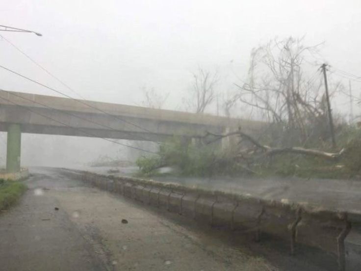 Create meme: fog on the road , bridge , thick fog 