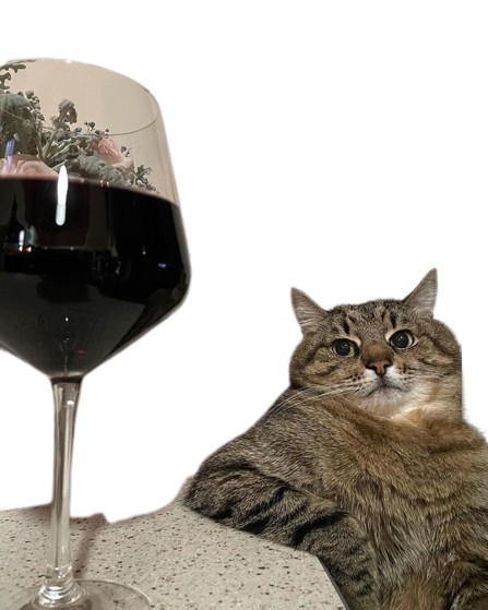 Create meme: cat with wine, cat with a glass of wine, cat with wine