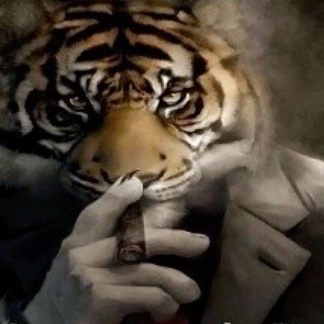 Create meme: tiger tiger, The brutal tiger, sad tiger 