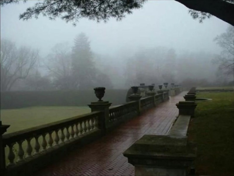 Create meme: darkness, Pavlovsk in the fog, fog 