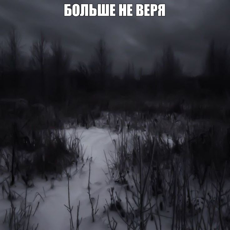 Create meme: Gloomy forests, the forest dark, winter forest 