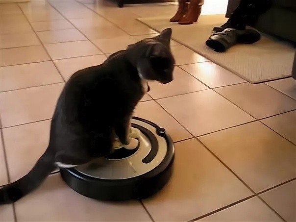 Create meme: A robot vacuum cleaner and a cat, cat and robot vacuum cleaner, square robot vacuum cleaner