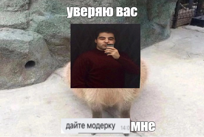 Create meme: male , polar bear in the Moscow zoo, Polar bear Moscow Zoo 1999