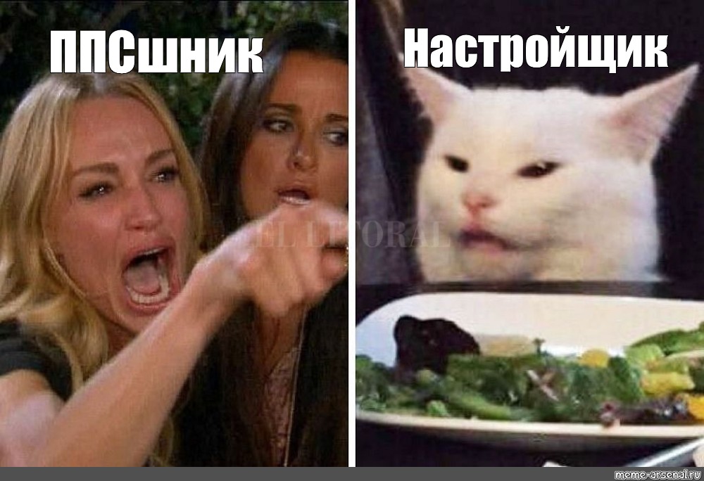 Мем картинка девушки и кот