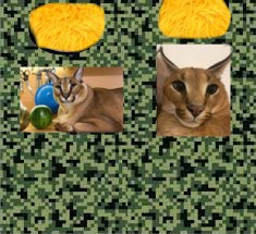 Create meme: the cat caracal, Caracal, caracal floppa