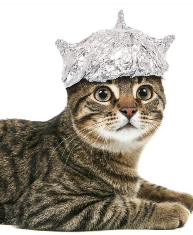 Create meme: the cat in the tin foil hat, foil cap, a cat in a foil cap