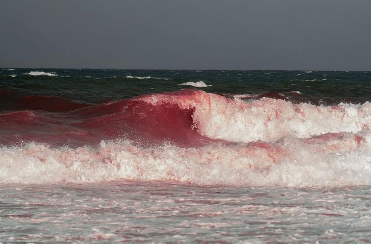 Create meme: the sea is red, waves on the sea, pink waves