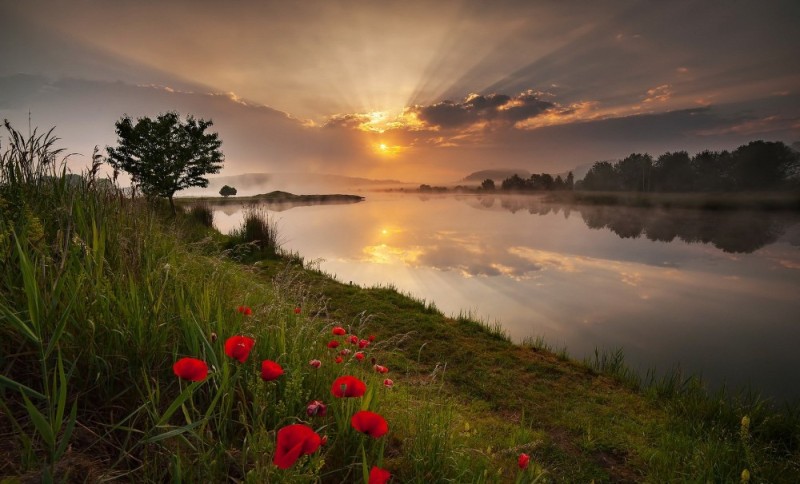 Create meme: dawn on the river, dawn nature, beautiful evening landscape