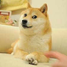 Create meme: shiba inu