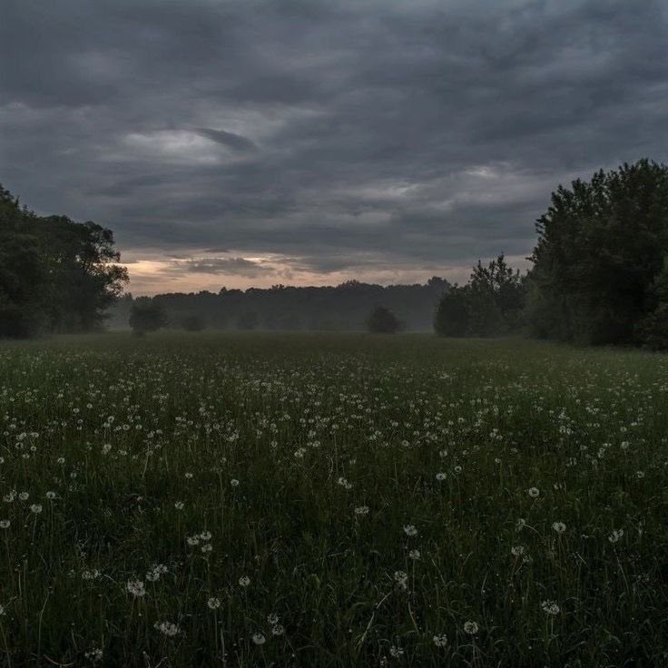 Create meme: landscape , field evening, sunny morning in the village