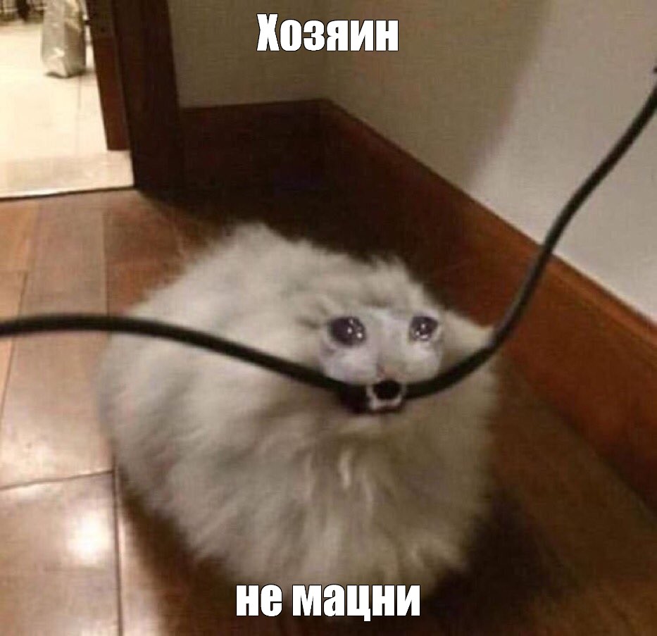 Создать мем: null