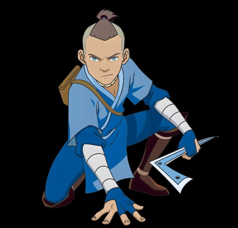 Create meme: sokka avatar, avatar the legend of aang sokka, avatar Aang Sokka