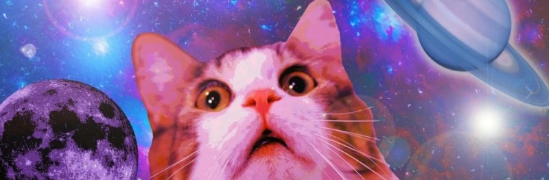 Create meme: Twitter , the cat on the background of the cosmos, cats in space