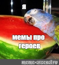 Создать мем: null