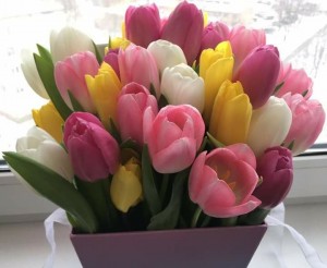 Create meme: tulips in a box, tulips for you, tulips flowers