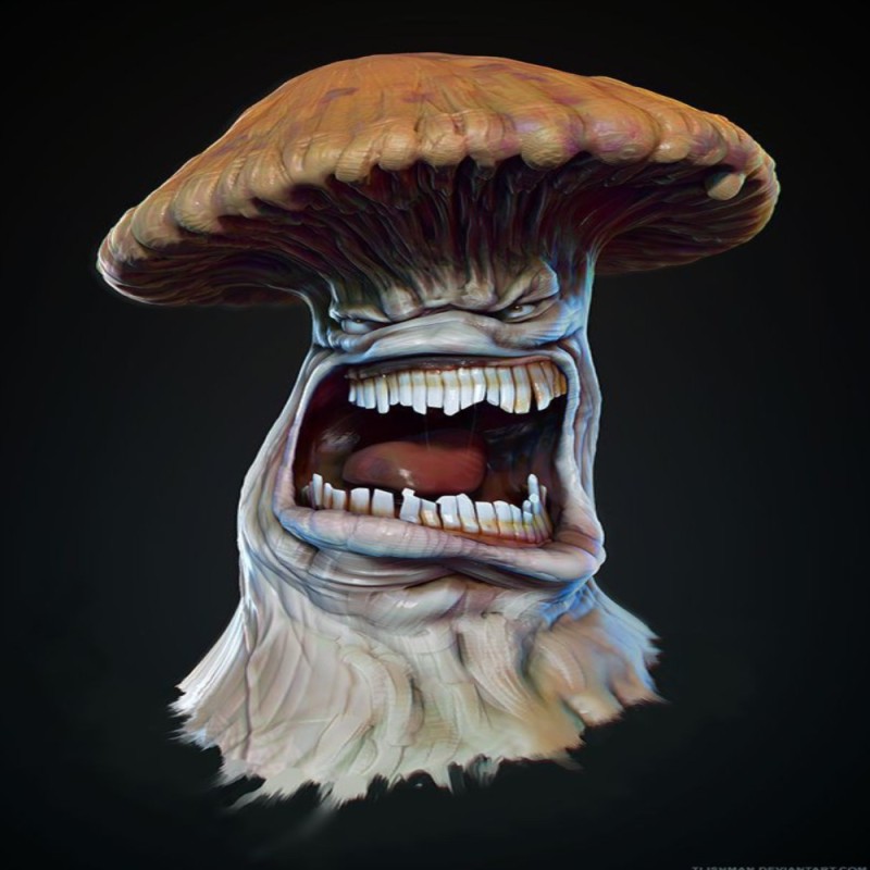 Create meme: Mushroom monster, mushrooms are scary, infected mushroom group