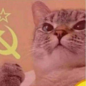 Create meme: cat, memes with cats, the cat is a Communist