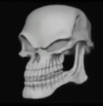 Создать мем: череп 3d модель, мем скелет, череп улыбается мем
