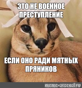 Мемы про пряники