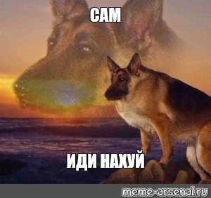 Создать мем: null