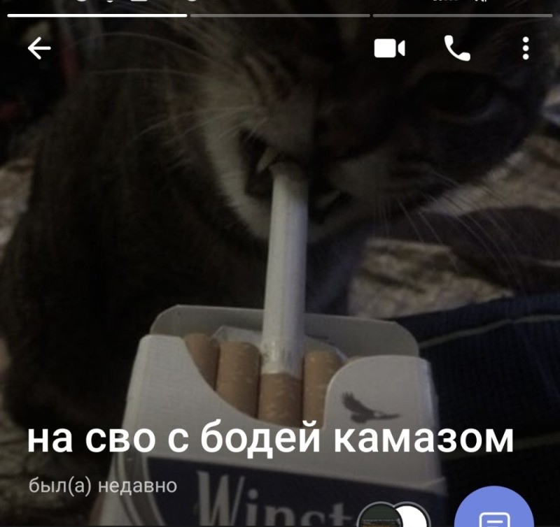 Create meme: cat with a cigarette, the cat smokes, cat with a cigarette