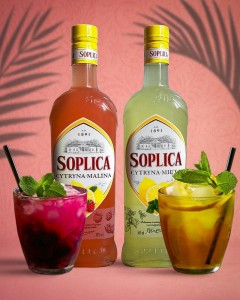 Create meme: sangria Monin cocktail, Polish alcoholic drink Soplica, drink Soplica