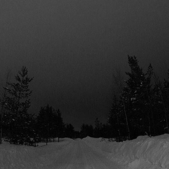 Create meme: winter road in the forest, night road, winter night