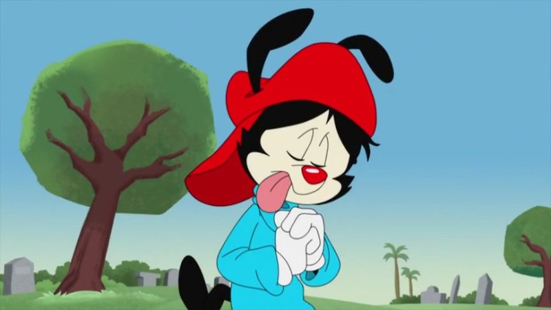 Создать мем: animaniacs wakko, мультсериал, якко вакко и дот уорнер