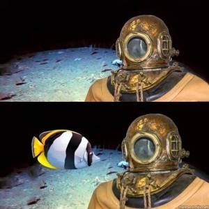 Create meme: I'm a diver meme, diver, me under tremendous pressure