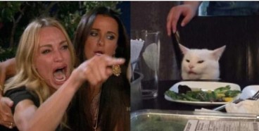 Create meme: woman yelling at a cat meme, MEM woman and the cat, meme with two girls and a cat