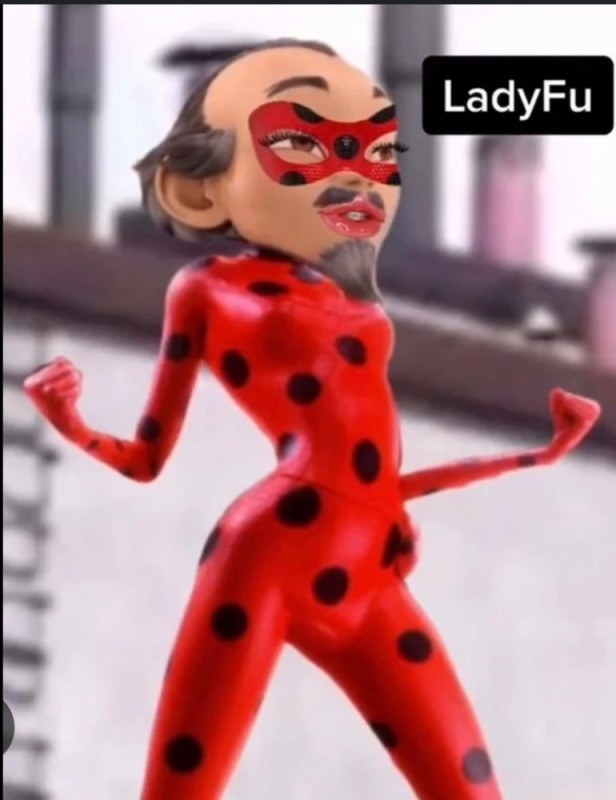 Create meme: Lady bug and super cat, lady bug and super , Lady bug and super cat jokes