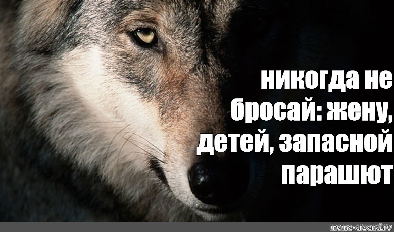 Он не бросит жену. Волк не бросает жену. Мемы с волками. Волк брат Мем. Философия волка мемы.