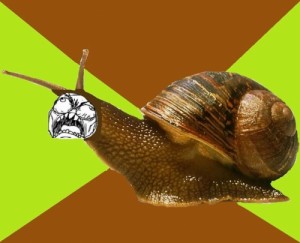 Create meme: ravlyk, huida, snail