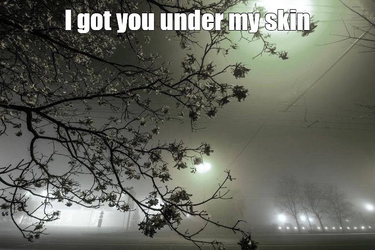 Create meme: darkness, night nature, foggy morning