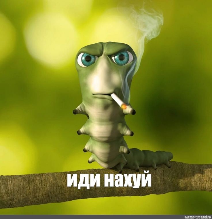 Создать мем: гусеница мем, червяк с сигаретой, курящая гусеница