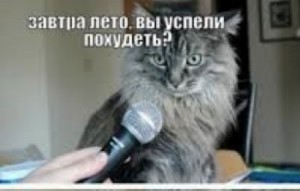 Create meme: you realize that you are a cat, surprised cat with microphone, cat with microphone